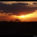 Kilimandscharo Sonnenuntergang