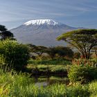 Kilimandscharo_1