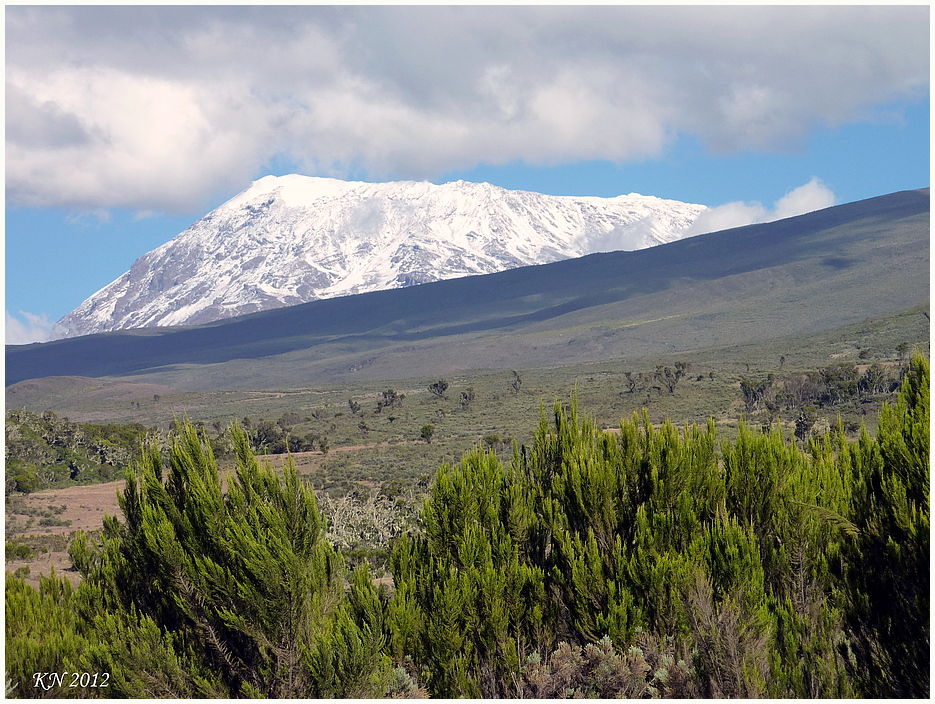 Kilimanjaro