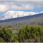 Kilimanjaro