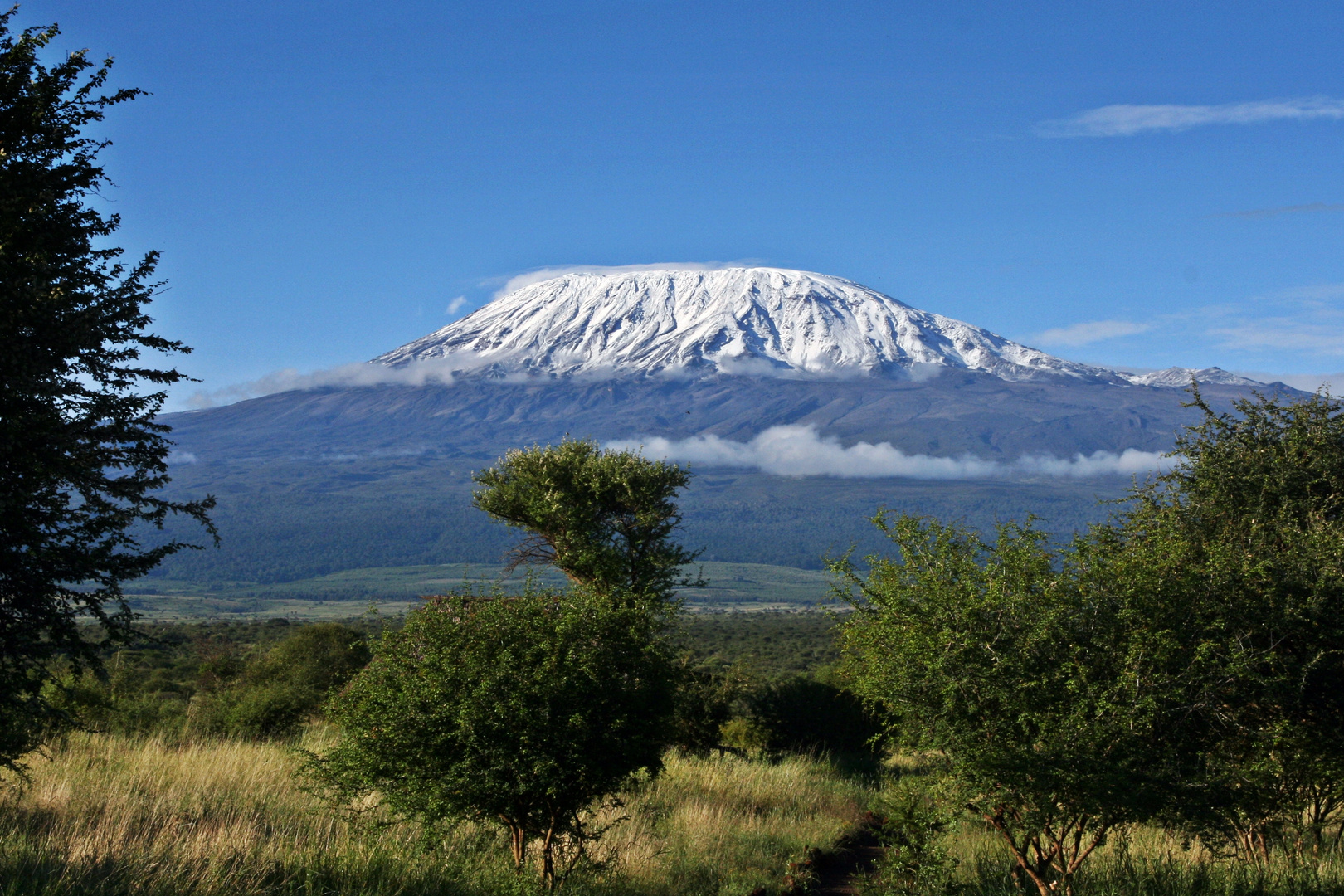 Kilimanjaro