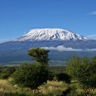 Kilimanjaro