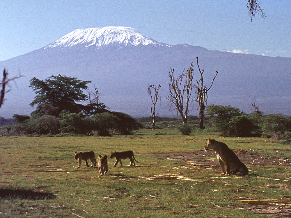 Kilimanjaro 1975