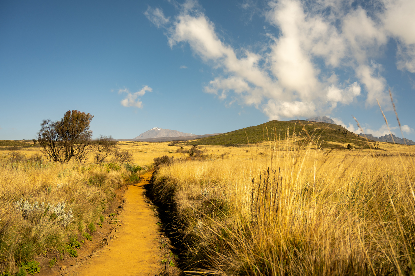 Kilimanjaro 3