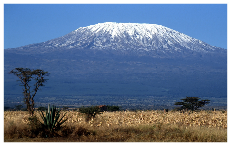 Kilimanjaro