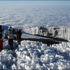 Kilimanjaro