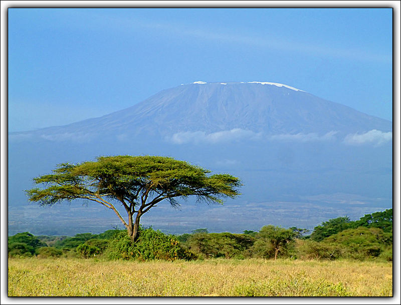 Kilimanjaro