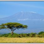 Kilimanjaro