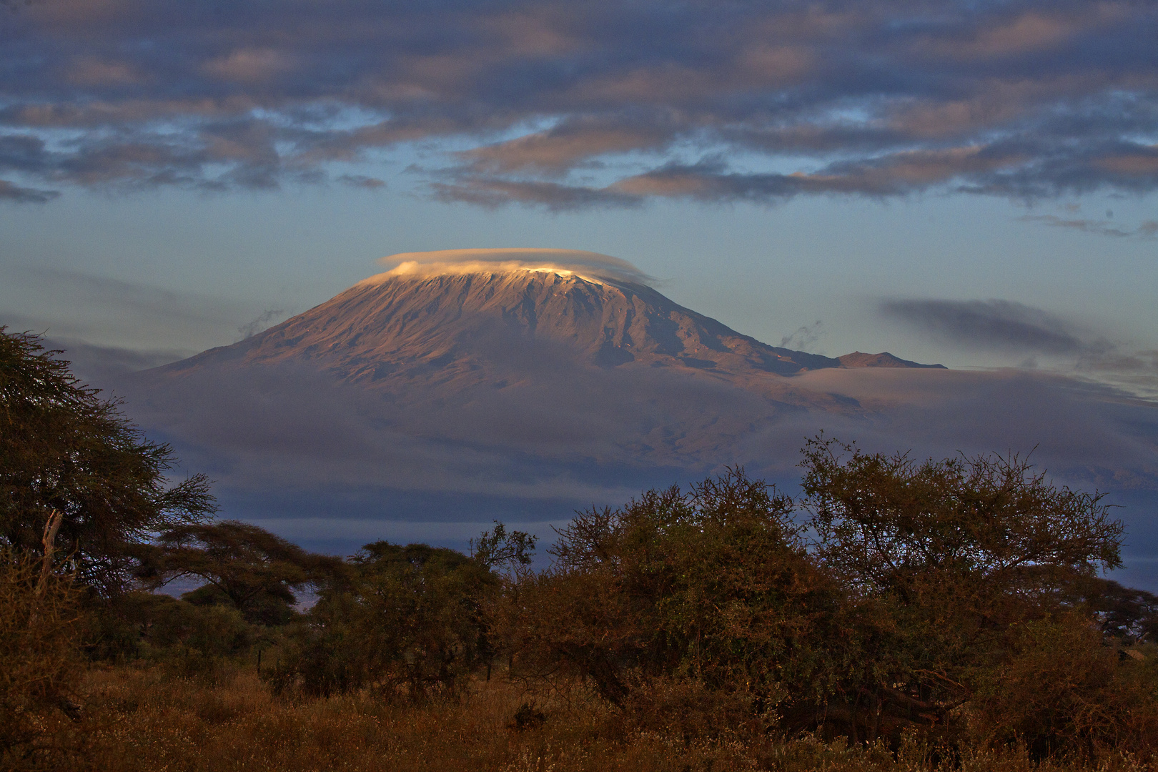 Kilimanjaro