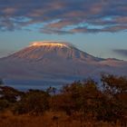 Kilimanjaro