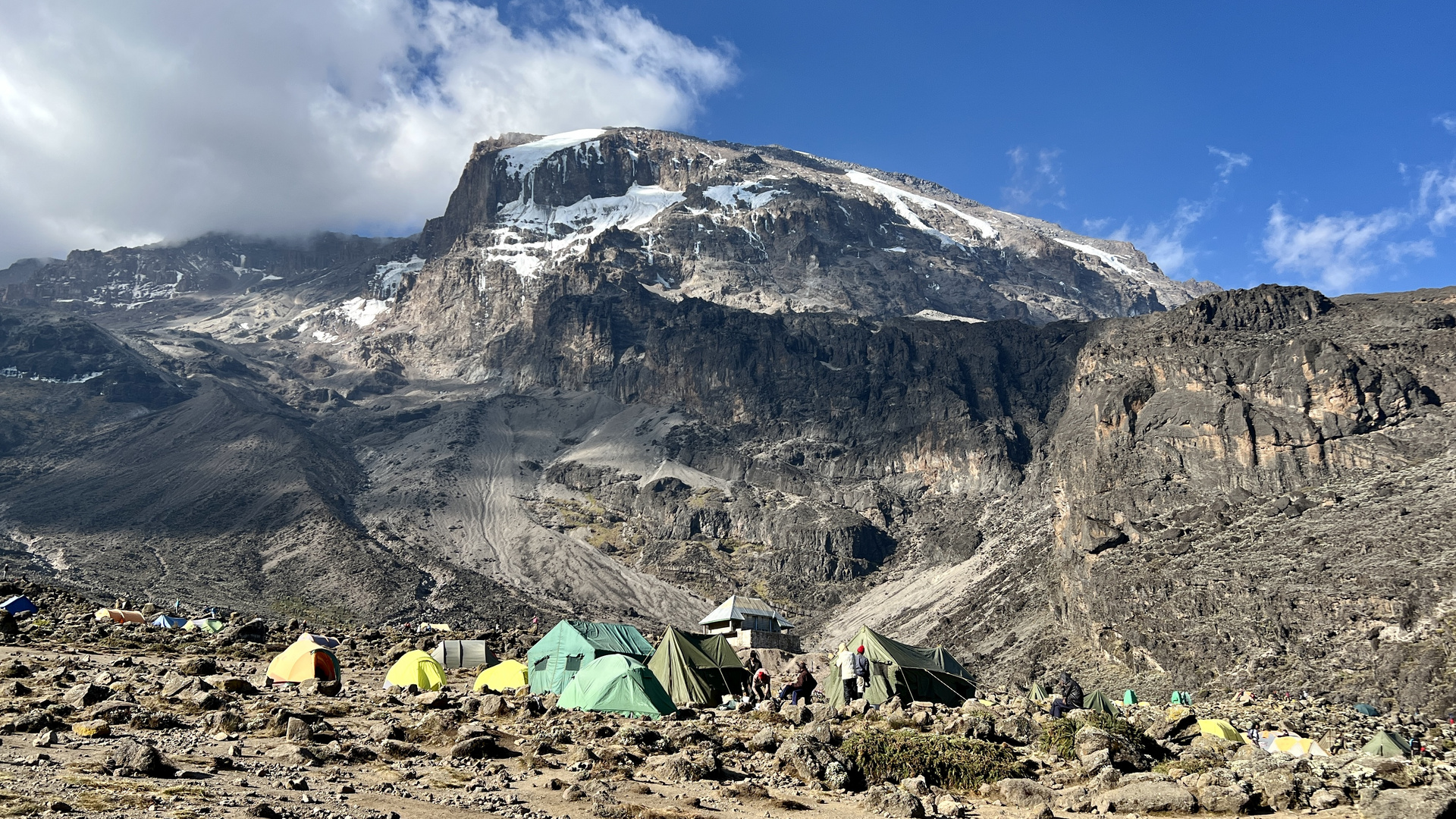 Kilimanjaro