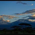 Kilimanjaro (5895m)