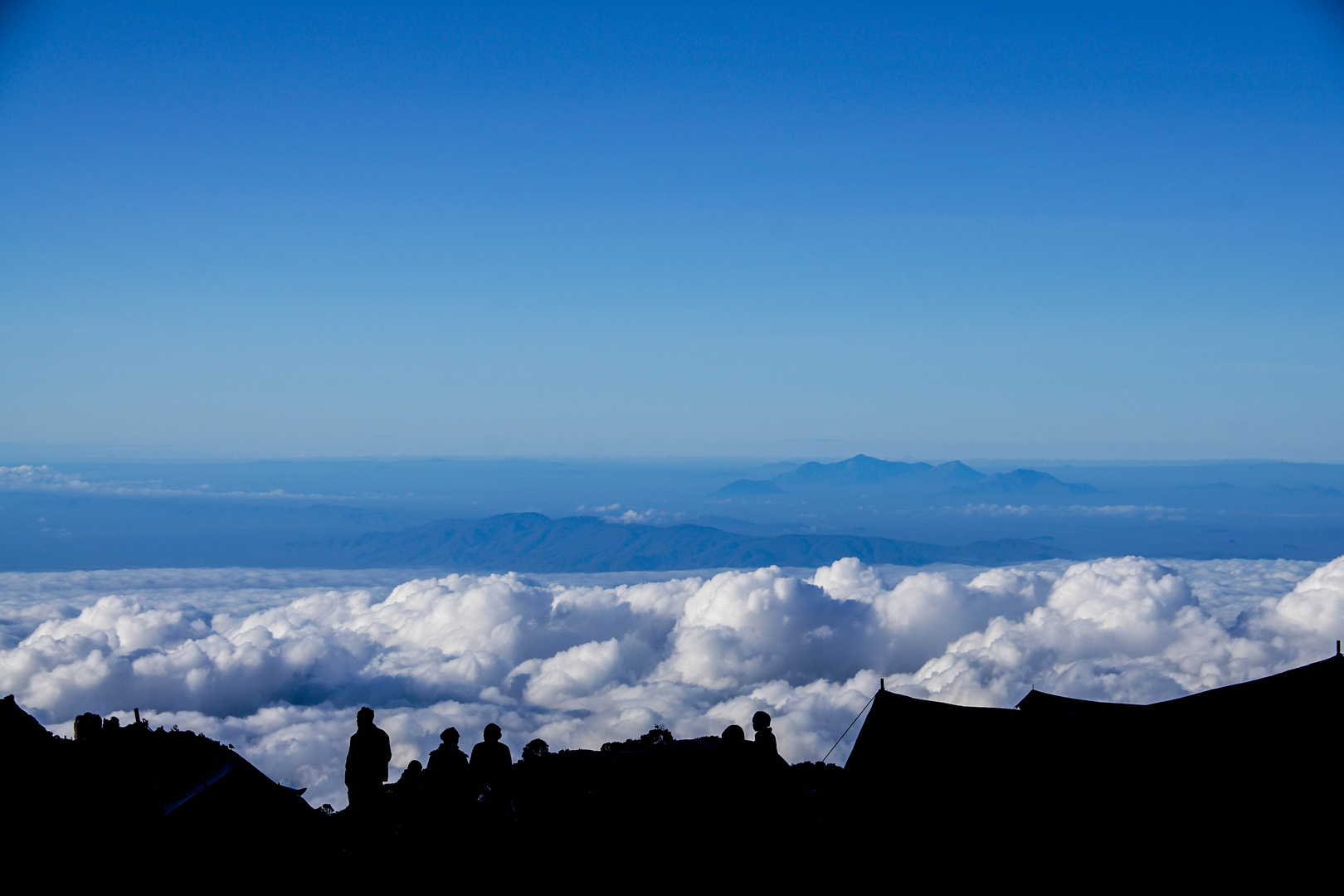 Kilimanjaro