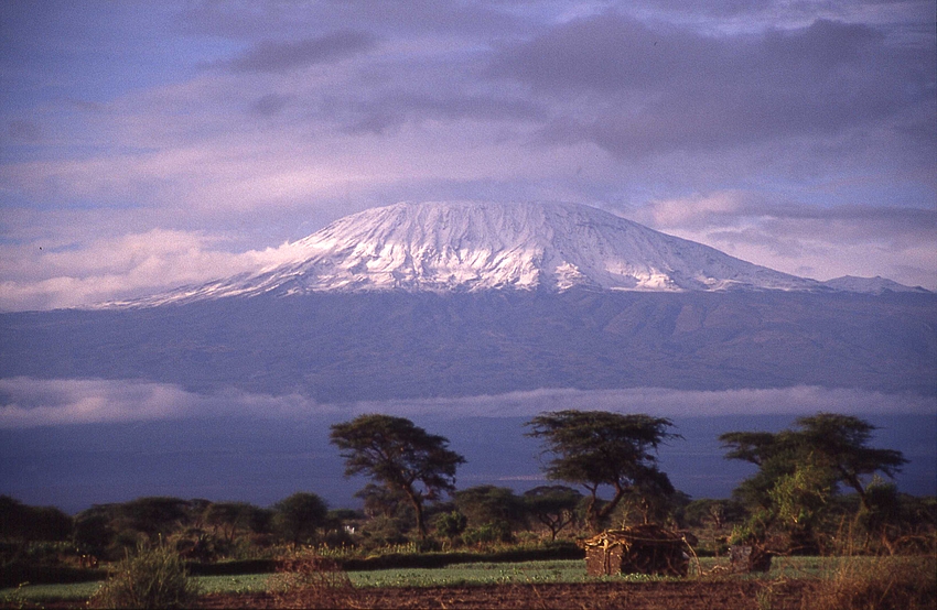 Kilimanjaro