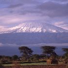 Kilimanjaro