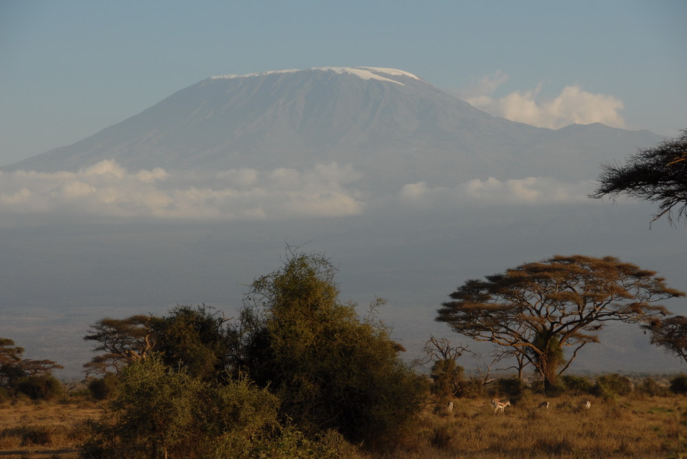 Kilimanjaro 8/07 Kenia