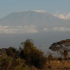 Kilimanjaro 8/07 Kenia