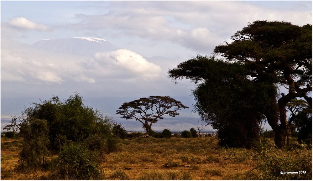 kilimanjaro......