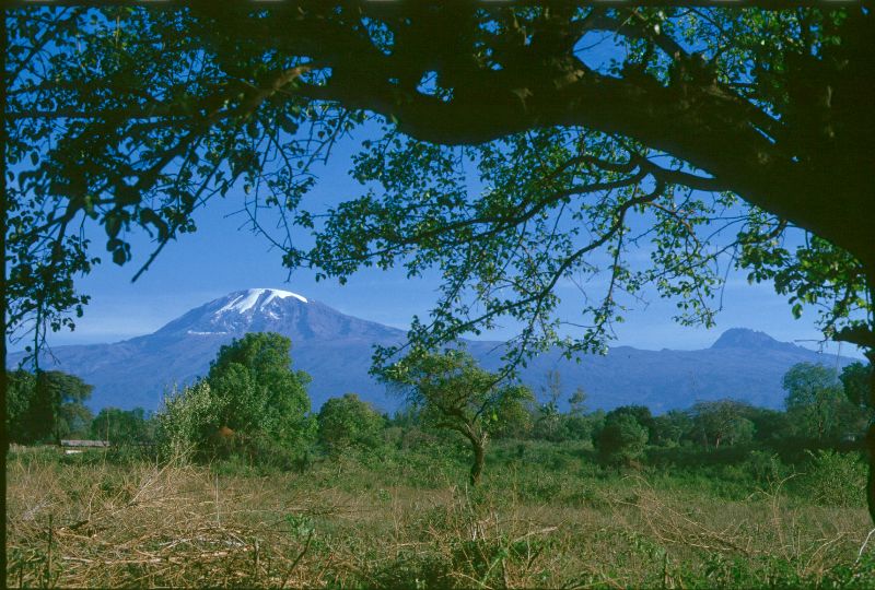 Kilimanjaro