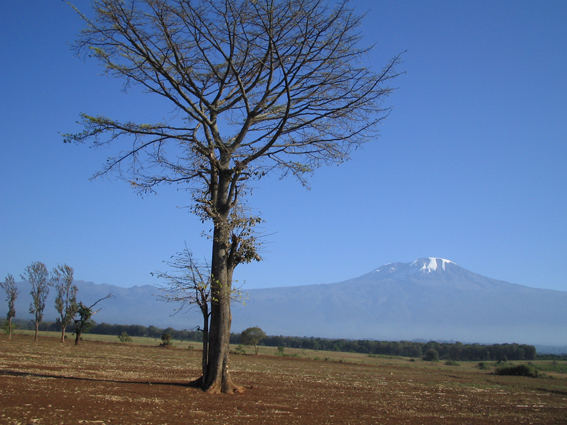 kilimanjaro am 27.12.2005