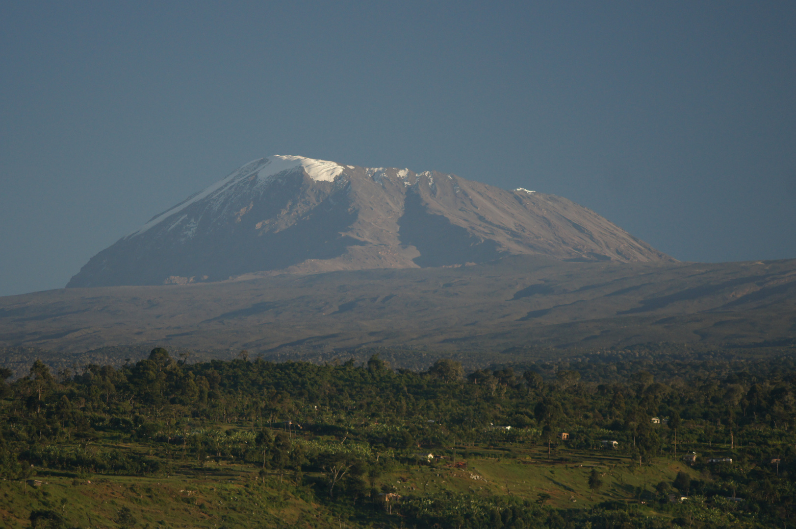 Kilimanjaro am Morgen