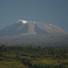 Kilimanjaro am Morgen