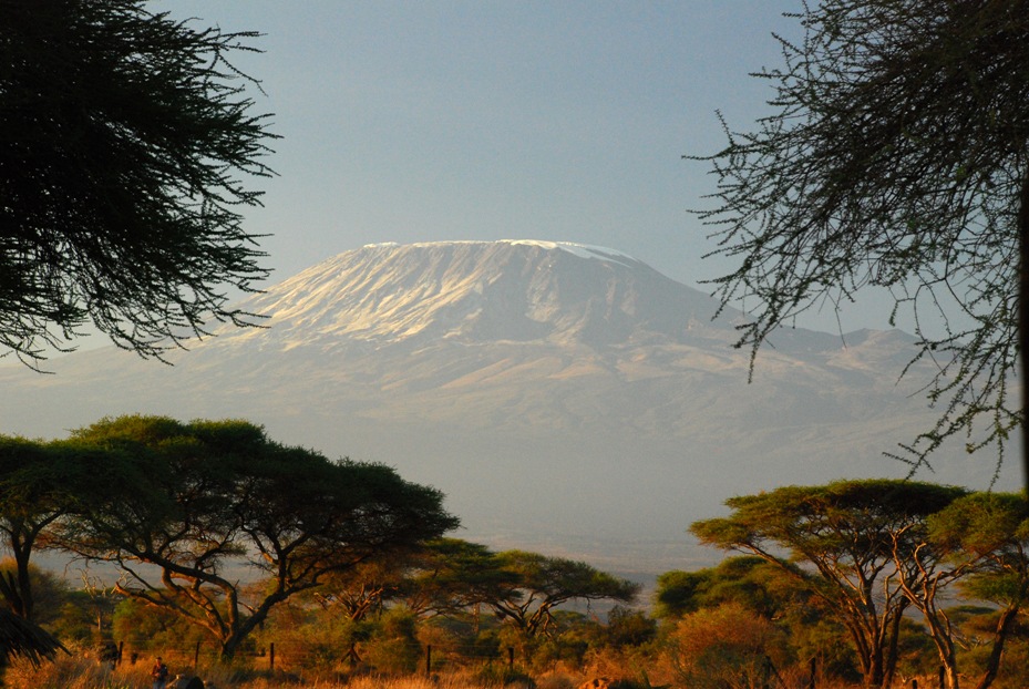 Kilimanjaro