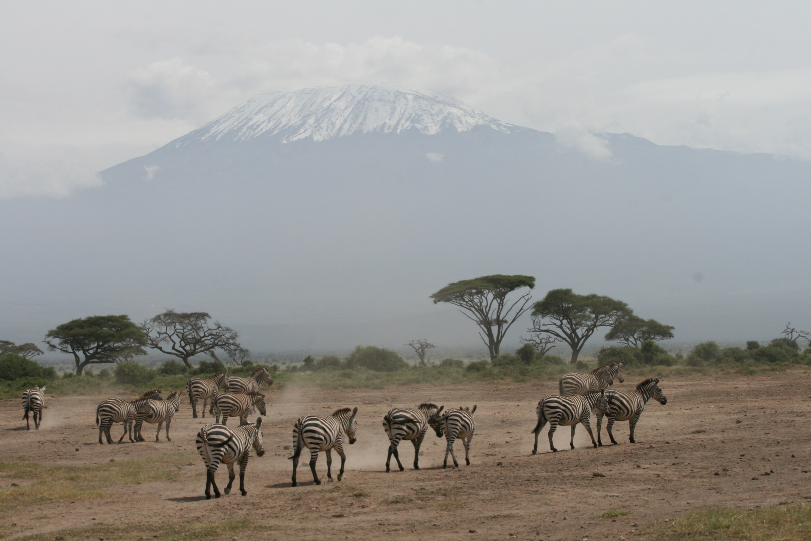 Kilimanjaro