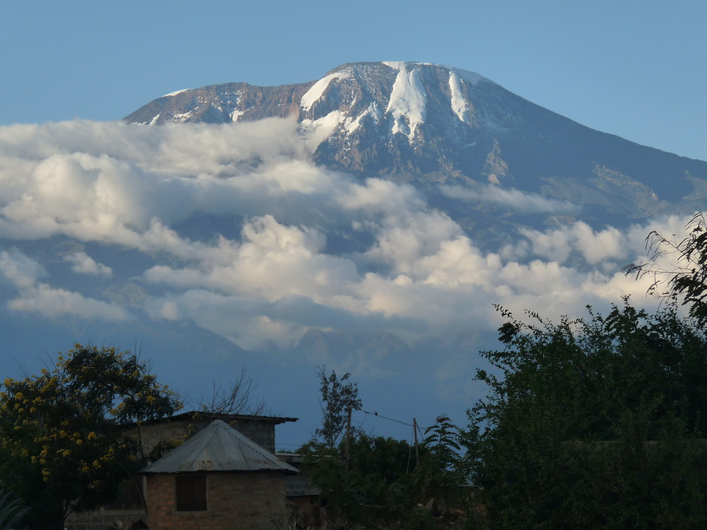 Kilimanjaro