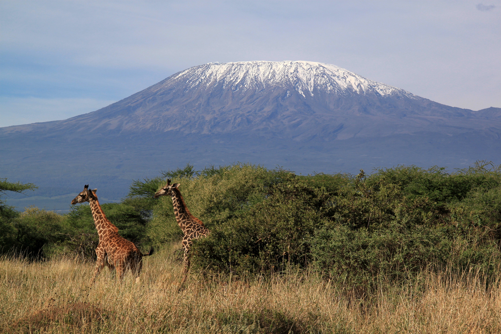 Kilimanjaro...