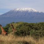 Kilimanjaro...