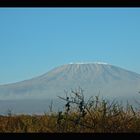 Kilimanjaro