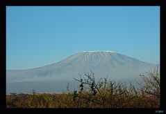 Kilimanjaro