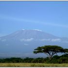 Kilimanjaro