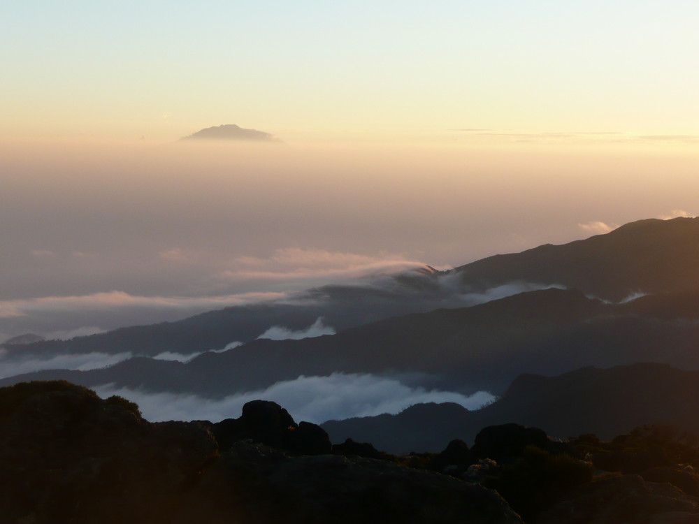 Kilimanjaro