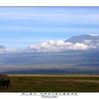 Kilimanjaro I