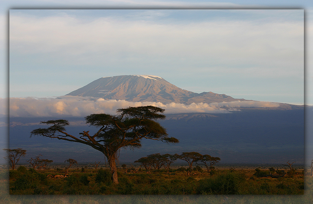 Kilimanjaro III
