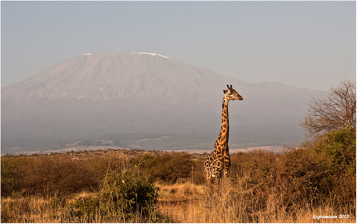 kilimanjaro im morgendunst......