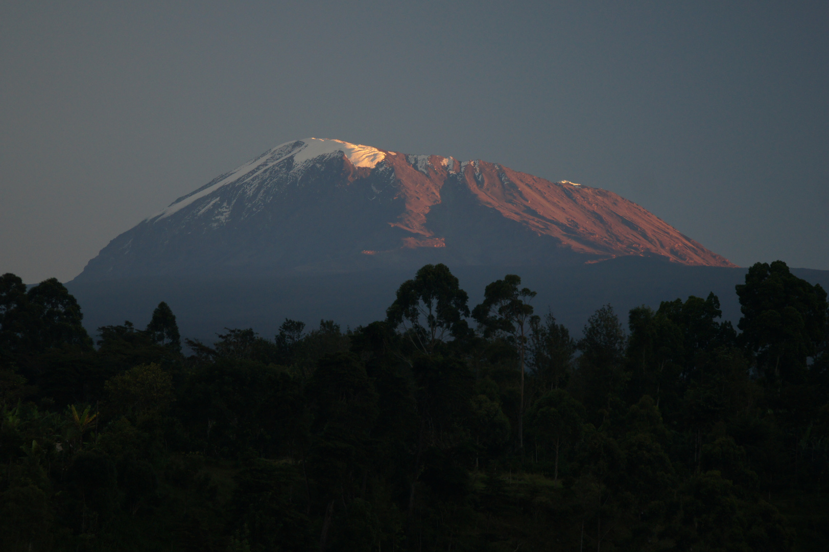 Kilimanjaro im Morgenlicht