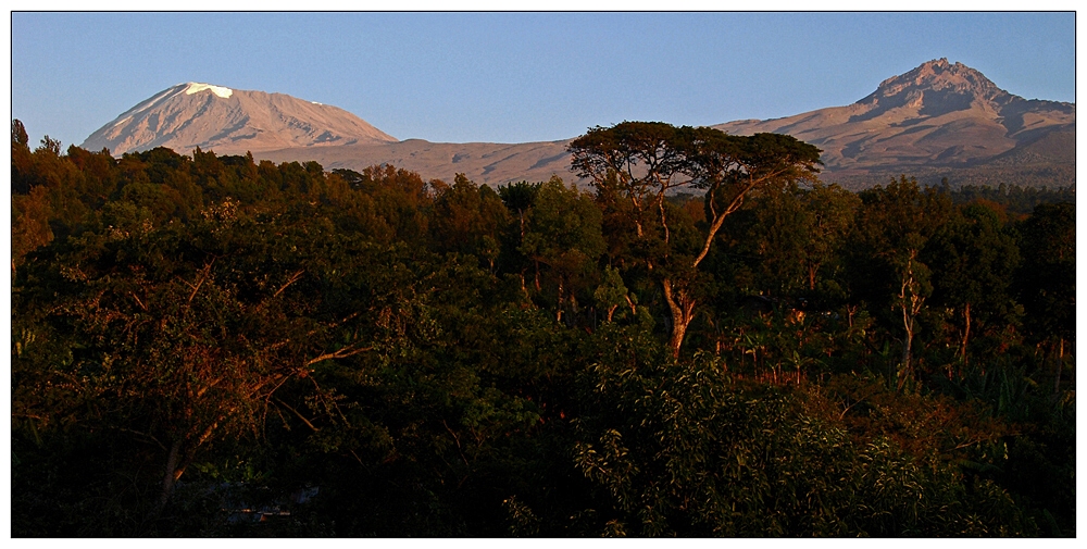 Kilimanjaro im Morgenlicht