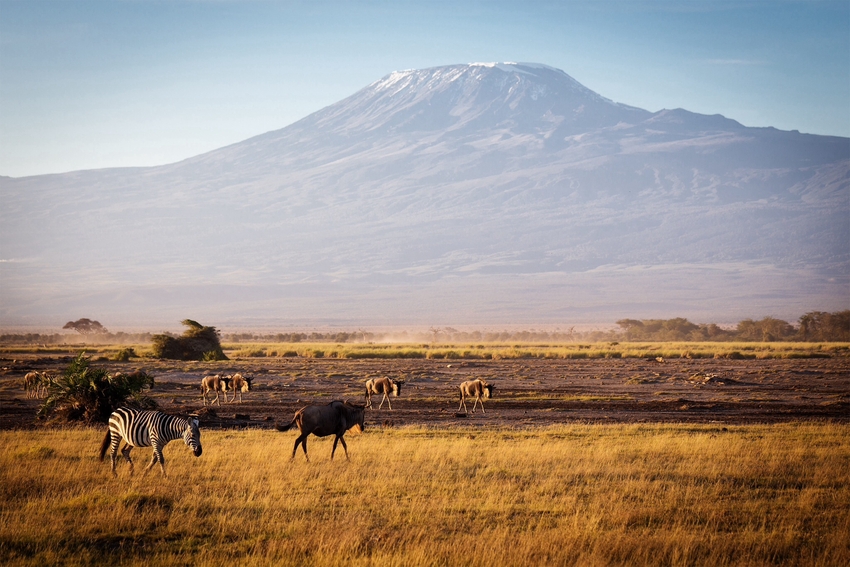 Kilimanjaro - Kenia