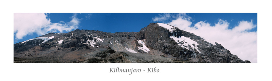 Kilimanjaro-Kibo Panorama