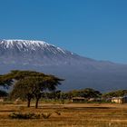 Kilimanjaro Panorama