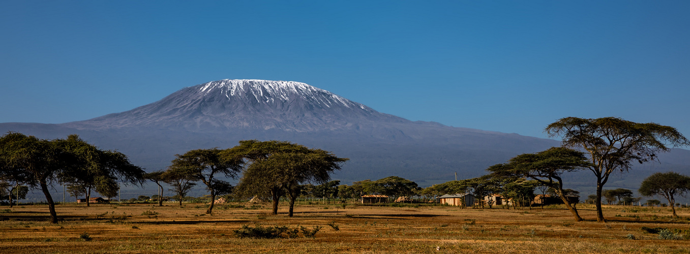 Kilimanjaro Panorama