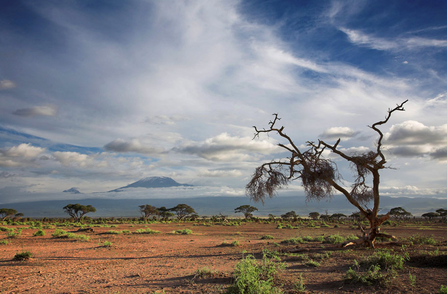 Kilimanjaro view