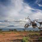 Kilimanjaro view