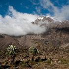 Kilimanjaro vom Barranco Camp