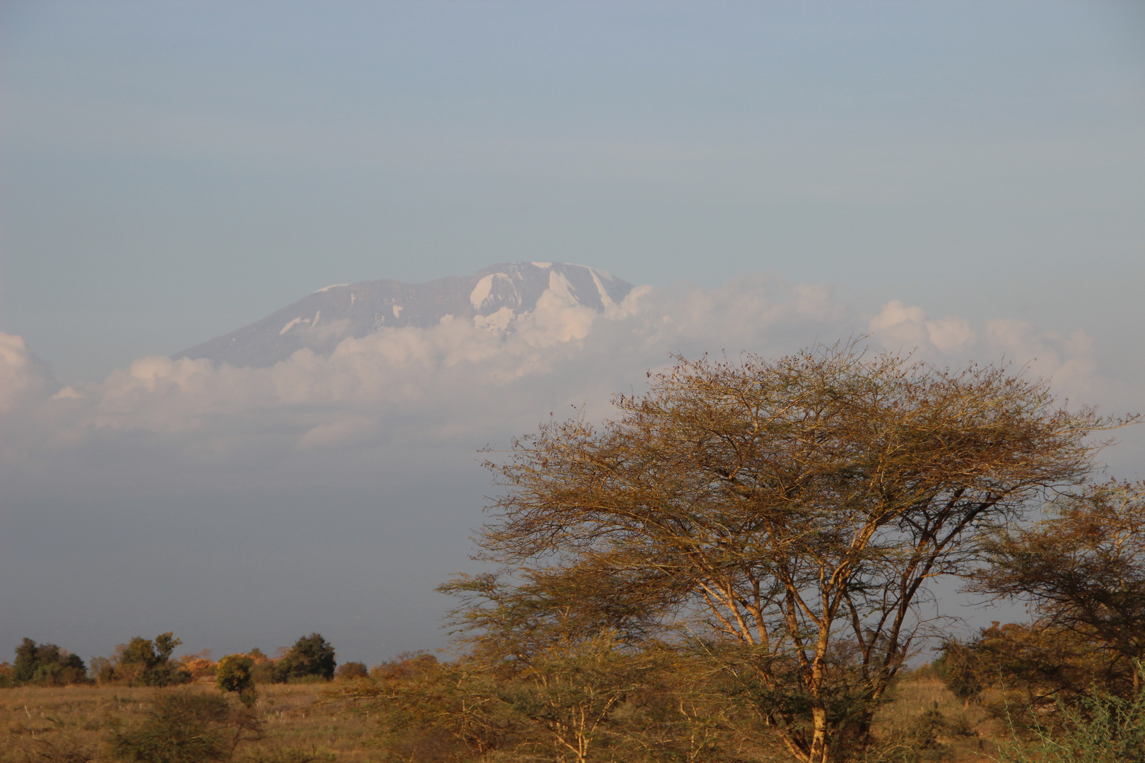 Kilimanjaro  -  wolkenverhangen