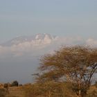 Kilimanjaro  -  wolkenverhangen