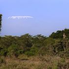 Kilimanjarowolken...